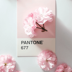 Pantone Matched CMYK Ribbon Blues