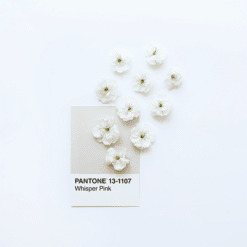Pantone Matched CMYK Ribbon Whites