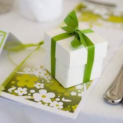 Narrow Satin Plain Ribbon
