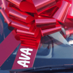 Personalised Big Red Car Bonnet Bow