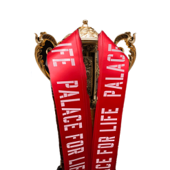 Ribbon For Trophies