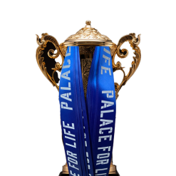 Ribbon For Trophies