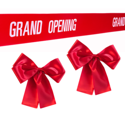Branded Ribbon + 2 Matching Ribbon Bows