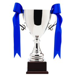 Ribbons To Tie On A Trophy