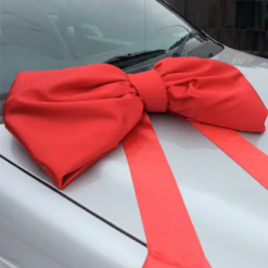 1m
