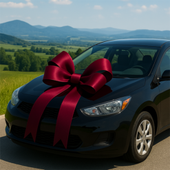 Burgundy Ribbon Car Bow