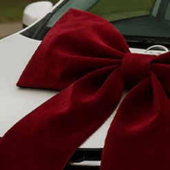 Red Velvet Big Bow