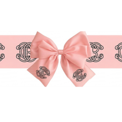 Custom Printed Bow & Ribbon