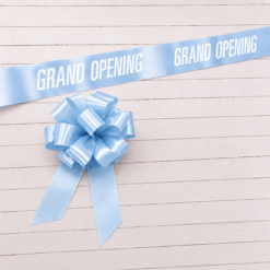Pastel Blue Ribbon And Bow